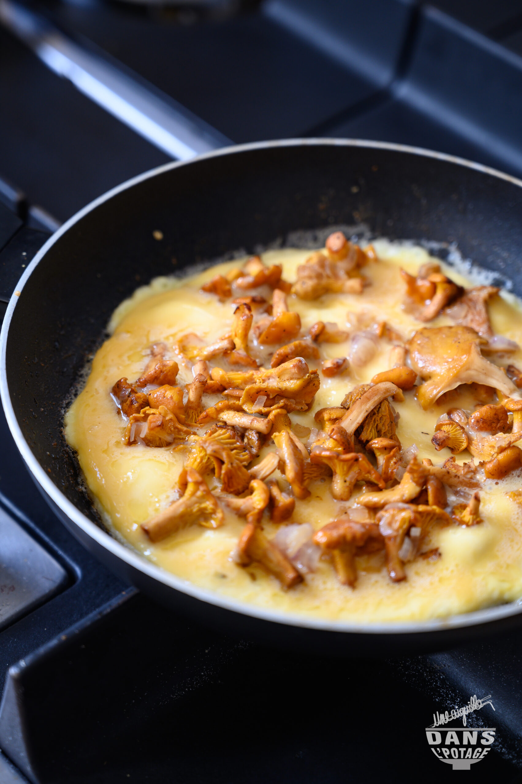 omelettes aux girolles